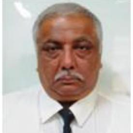 Dr. (Prof) Manoj K. Singh 